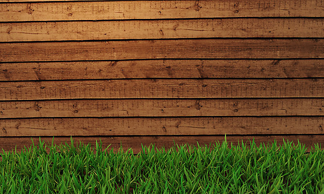 포토 JPG 해외이미지 식물 계절 공원 벽 백그라운드 잎 밭 농업 텍스트 벽지 놀이 날씨 프레임 풍경 잔디 초원 사람없음 목재 가로 초록색 여름 울타리 농장 3D 정원 봄 활발 전원 시골 신선 닫기 땅 허브 원예 장면 천국 밭일 수평선 해외202008 해외포토 나무 공공시설 산업 컬러 컨셉 재료 모션 취미 담장 전기에너지 디지털합성 파일형식