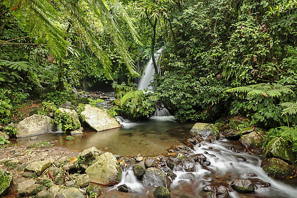 포토 JPG 해외이미지 나무 식물 계절 공원 길 여행 백그라운드 잎 모션 자연 풍경 사람없음 야외 목재 초록색 물 여름 관광지 강 태양 환경 계곡 봄 폭포 젖음 흐름 가을 바위 신선 개울 떨어짐 숲 열대우림 즐거움 암초 내추럴 해외202008 해외포토 자연요소 공공시설 감정 컬러 컨셉 재료 돌_바위 생태계 파일형식