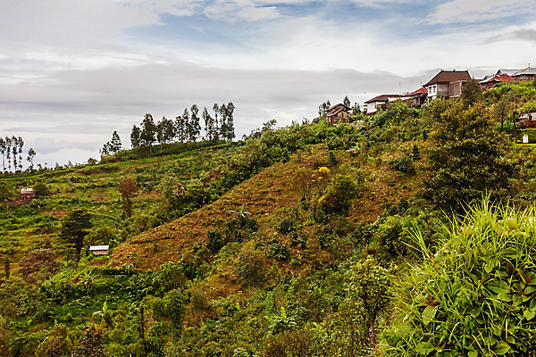 포토 JPG 해외이미지 식물 계절 아시아 섬 백그라운드 겨울 밭 농업 자연 하늘 밥 주택 풍경 사람없음 건물 초록색 마을 활발 시골 발리 인도네시아 장면 지역 해외202008 해외포토 건축물 나라 산업 음식 컬러 컨셉 생태계 파일형식