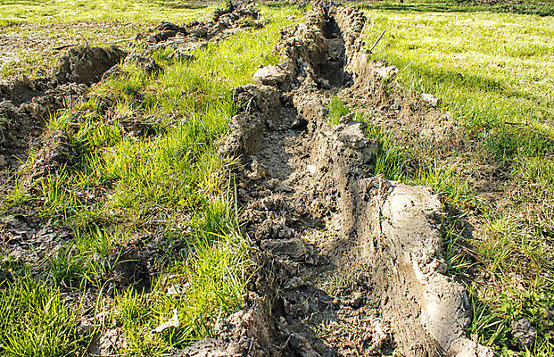 포토 JPG 해외이미지 나무 계절 도로 길 백그라운드 자연 풍경 잔디 사람없음 초록색 물 갈색 맑음 흙 봄 젖음 땅 바퀴자국 장면 지역 진흙 내추럴 깊이 땅바닥 선로 해외202008 해외포토 자연요소 식물 컬러 교통시설 자국 날씨 바닥 생태계 파일형식
