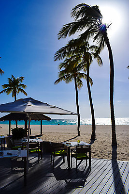 포토 JPG 해외이미지 나무 구름 모래 바다 섬 여행 오렌지 하늘 휴가 휴식 풍경 사람없음 야외 물 파란색 평화 일출 일몰 낭만 신혼여행 그림 휴양지 파라다이스 수평선 해외202008 해외포토 자연요소 식물 컬러 결혼 컨셉 과일 노을 장소 파일형식