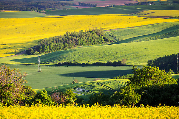 포토 JPG 해외이미지 나무 구름 계절 백그라운드 잎 밭 농업 자연 하늘 날씨 풍경 초원 사람없음 야외 초록색 여름 파란색 컬러풀 햇빛 농가 농장 환경 봄 활발 성장 전원 시골 신선 땅 밀 언덕 그림 장면 내추럴 밭일 해외202008 해외포토 자연요소 식물 산업 컬러 컨셉 곡류 태양 전기에너지 생태계 파일형식