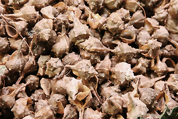 포토 JPG 해외이미지 음식 바다 백그라운드 다이어트 재료 조개 연체동물 나선형 건강 요리 사람없음 물 갈색 판매 식당 식사 이탈리아 껍질 신선 그룹 시장 소라 지중해 먹기 해산물 유기농 날것 내추럴 생식 소금물 식용 맛있는 해외202008 해외포토 자연요소 웰빙 유럽 컬러 무늬 모션 어패류 무척추동물 상점 파일형식