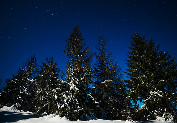 포토 JPG 해외이미지 나무 계절 별 과학 백그라운드 겨울 자연 하늘 휴가 불꽃 산 풍경 사람없음 파란색 우주 환경 검은색 어둠 꿈 안개 야간 숲 달빛 언덕 코스모스 서리 은하계 점성술 공상 마법 전나무 별빛 성운 내추럴 깊이 절정 가문비나무 해외202008 해외포토 자연요소 식물 꽃 컬러 불 날씨 빛 달 생태계 파일형식