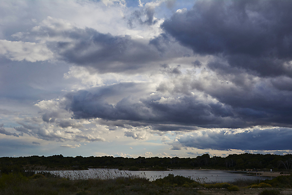 포토 JPG 해외이미지 나무 구름 응시 공원 호수 파도 바다 자연 하늘 날씨 산 풍경 사람없음 야외 초록색 물 파란색 평화 어둠 봄 회색 젖음 추위 안개 오픈 보트 빙하 폭풍 멀리 흐림 내추럴 전국 혼자 해외202008 해외포토 자연요소 식물 시선 계절 공공시설 컬러 컨셉 배_교통 생태계 파일형식
