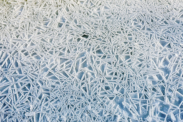 포토 JPG 해외이미지 계절 호수 분홍색 백그라운드 겨울 자연 표면 아침 날씨 풍경 사람없음 물 파란색 강 햇빛 냉동 얼음 새벽 추위 흰색 연못 시원함 질감 서리 온도 격파 우크라이나 해외202008 해외포토 주간 자연요소 유럽 컬러 모션 태양 생태계 파일형식