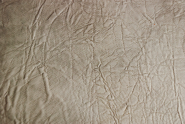 포토 JPG 해외이미지 아시아 호수 야생동물 파충류 아프리카 태국 사람없음 물 강 농장 머리 검은색 수영 힘 경쟁 연못 입 황무지 진화 치아 위험 라이벌 위협 사파리 피부 공룡 눈금 꼬리 사냥 도마뱀 육식동물 악어 사냥꾼 숨김 나쁜 몬스터 힘찬 해외202008 포악 해외포토 자연요소 동물 직업 나라 컬러 컨셉 농업 신체부위 수상스포츠 소화기관 소방 파일형식