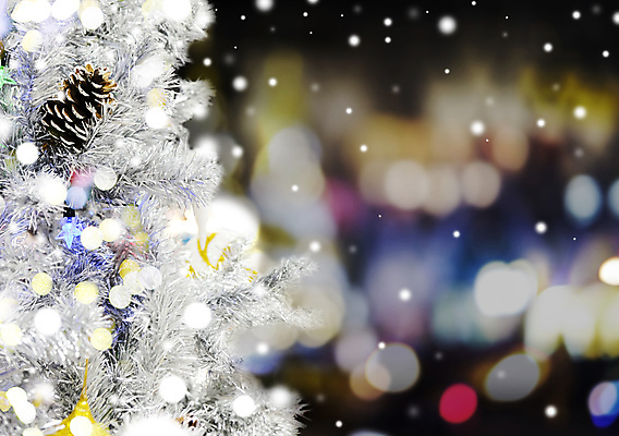 포토 JPG 해외이미지 나무 디자인 계절 행복 별 백그라운드 잎 크리스마스 겨울 추상 휴가 새로움 사람없음 장식 빛 컬러풀 검은색 축제 흰색 축하 소나무 신용카드 은색 야간 12월 연도 보케 원뿔 블러 해외202008 해외포토 자연요소 도형 식물 기념일 감정 컬러 컨셉 무늬 금융 날짜 파일형식