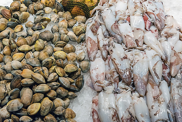 포토 JPG 해외이미지 동물 음식 바다 백그라운드 다이어트 재료 자연 낚시 조개 건강 육류 갑각류 어류 요리 사람없음 빨간색 판매 세일 얼음 식사 회색 껍질 신선 스페인 시장 은색 지중해 먹기 해산물 오징어 날것 문어 가리비 어장 금성 단백질 마드리드 생식 소금물 많음 맛있는 해외202008 해외포토 자연요소 유럽 컬러 컨셉 식재료 모션 레저 어패류 연체동물 수중동물 행성 생태계 영양소 파일형식