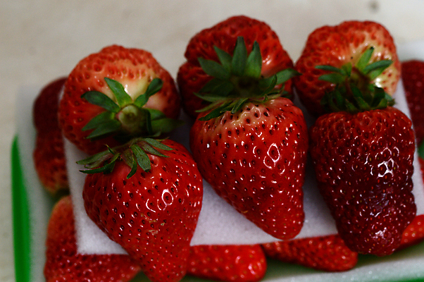 포토 JPG 해외이미지 열매 음식 과일 딸기 디저트 사람없음 신선 숙성 해외202008 해외포토 식물 파일형식