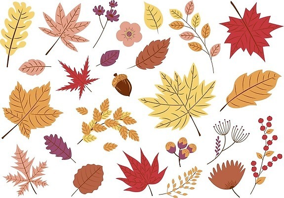 EPS 해외이미지 무료이미지 디자인 백그라운드 단풍 잎 패턴 일러스트 가을 해외202008 해외일러스트 식물 계절 무늬 파일형식 벡터 무료콘텐츠