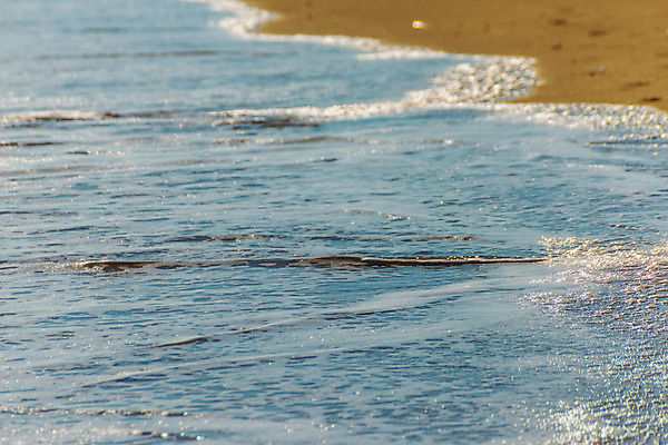 포토 JPG 해외이미지 모래 파도 바다 여행 백그라운드 자연 조류 표면 날씨 휴가 휴식 해변 사람없음 물 여름 빛 햇빛 반사 거품 에너지 흰색 만 뜨거움 서핑 황금 닫기 떨어짐 매끈함 질감 웨이브 남쪽 석호 내추럴 파라다이스 해외202008 해외포토 자연요소 동물 계절 컬러 컨셉 모션 태양 수상스포츠 감각 방향 생태계 파일형식