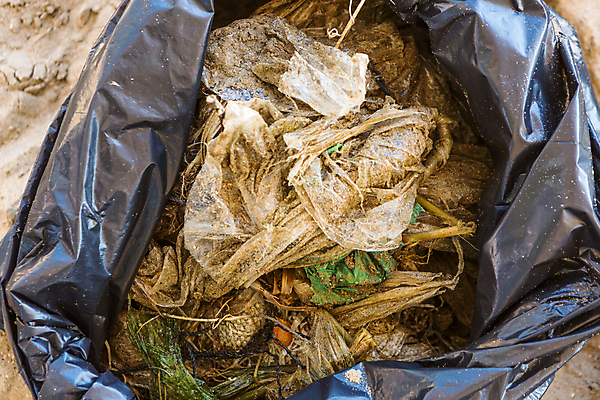 포토 JPG 해외이미지 라이프스타일 모래 바다 백그라운드 컨셉 가방 자연 사람 사람없음 야외 물 강 환경 업무 봉사 그룹 오염 보호 쓰레기 폐기물 플라스틱 청소 기회 지역 커뮤니티 일반 낭비 내추럴 돌봄 생태학 소셜 참여 해외202008 해외포토 자연요소 잡화 교육 모션 재질 생활 작업 도움 생태계 파일형식