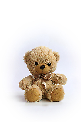 포토 JPG 해외이미지 동물 1 어린이 인형 백그라운드 장난 부분 곰 포옹 털 선물 사랑 앉기 사람없음 세로 장난감 갈색 귀여움 놀람 낭만 추위 흰색 축하 황금 매끈함 작음 모피 오브젝트 싱글 질감 부드러움 솜털 폭식 고립 옛날 천진난만 회복 해외202008 해외포토 감정 컬러 컨셉 포유류 안기 모션 표정 사람 감각 크기 파일형식