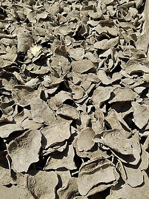 포토 JPG 해외이미지 1 전통 디자인 음식 벽 채소 재료 밥 새우 감자 건강 동양인 사람없음 초록색 식당 검은색 수확 독약 닫기 달콤 허브 싱글 유기농 질감 날것 뿌리 먼지 고립 재 해외202008 해외포토 식물 웰빙 컬러 농업 모션 갑각류 인종 상점 맛 파일형식