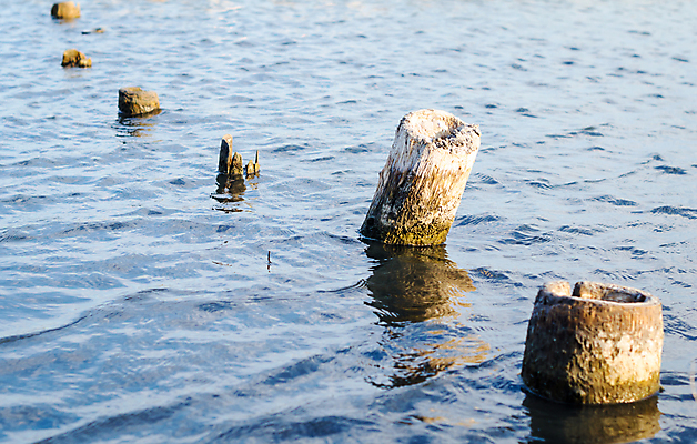 포토 JPG 해외이미지 호수 바다 백그라운드 자연 벽지 사람없음 목재 물 반사 삼 내추럴 해외202008 해외포토 자연요소 나무 채소 재료 생태계 파일형식