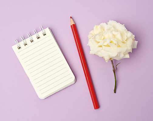포토 JPG 해외이미지 꽃 종이 색연필 사람없음 장미 오브젝트 스프링노트 해외202008 해외포토 식물 학용품 공책 파일형식