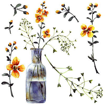 포토 JPG 해외이미지 식물 디자인 꽃잎 꽃 줄기 꽃다발 잎 일러스트 자연 유리 수채화 미술 초원 사람없음 장식 초록색 물 노란색 꽃병 그림 유기농 정물화 해외202008 해외포토 자연요소 웰빙 컬러 재질 문화예술 생태계 파일형식