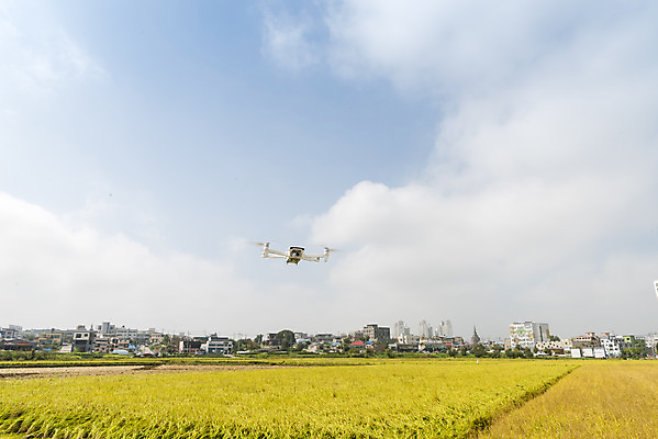 포토 JPG 주간 구름 여유 자연 하늘 한국 논 풍경 사람없음 야외 가을풍경 기계 추수 벼 쌀 가을 논산 드론 국내포토 자연요소 계절 감정 아시아 농업 곡류 충청남도 생태계 파일형식 가을_계절
