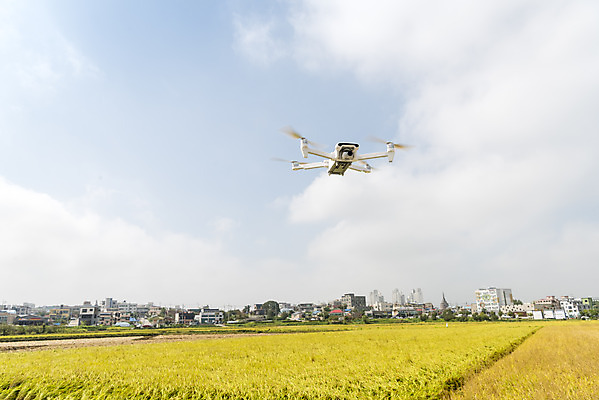 포토 JPG 주간 구름 여유 자연 하늘 한국 논 풍경 사람없음 야외 가을풍경 기계 추수 벼 쌀 가을 논산 드론 국내포토 자연요소 계절 감정 아시아 농업 곡류 충청남도 생태계 파일형식 가을_계절