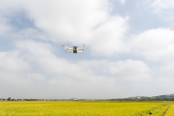 포토 JPG 주간 구름 여유 자연 하늘 한국 논 풍경 사람없음 야외 가을풍경 기계 추수 벼 쌀 가을 논산 드론 국내포토 자연요소 계절 감정 아시아 농업 곡류 충청남도 생태계 파일형식 가을_계절