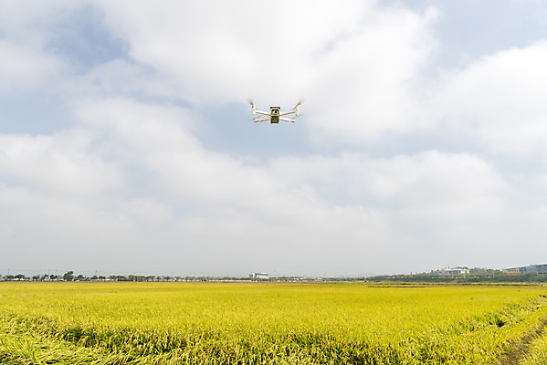 포토 JPG 주간 구름 여유 자연 하늘 한국 논 풍경 사람없음 야외 가을풍경 기계 추수 벼 쌀 가을 논산 드론 국내포토 자연요소 계절 감정 아시아 농업 곡류 충청남도 생태계 파일형식 가을_계절