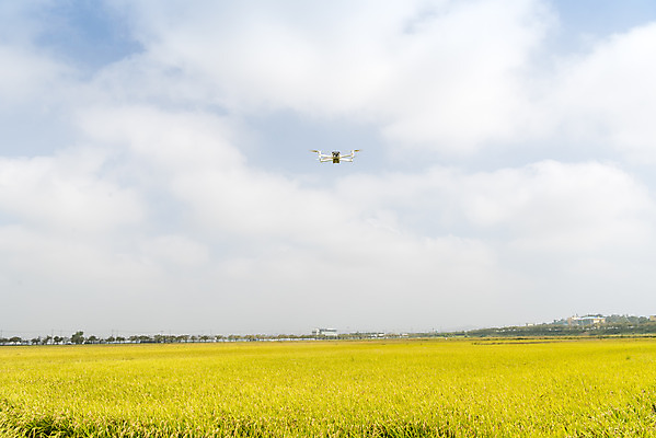 포토 JPG 주간 구름 여유 자연 하늘 한국 논 풍경 사람없음 야외 가을풍경 기계 추수 벼 쌀 가을 논산 드론 국내포토 자연요소 계절 감정 아시아 농업 곡류 충청남도 생태계 파일형식 가을_계절