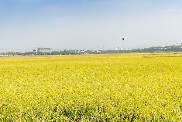 포토 JPG 주간 구름 여유 자연 하늘 한국 논 풍경 사람없음 야외 가을풍경 기계 추수 벼 쌀 가을 논산 드론 국내포토 자연요소 계절 감정 아시아 농업 곡류 충청남도 생태계 파일형식 가을_계절