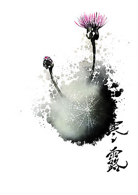 PSD 식물 꽃잎 꽃 줄기 일러스트 캘리그라피 붓터치 사람없음 이슬 거미줄 동양화 번짐 한로 국내일러스트 미술 절기 파일형식 효과