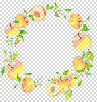편집 편집이미지 과일 수채화 프레임 누끼 사람없음 여름 복숭아 원형프레임 PNG 편집소스 계절 원형 파일형식