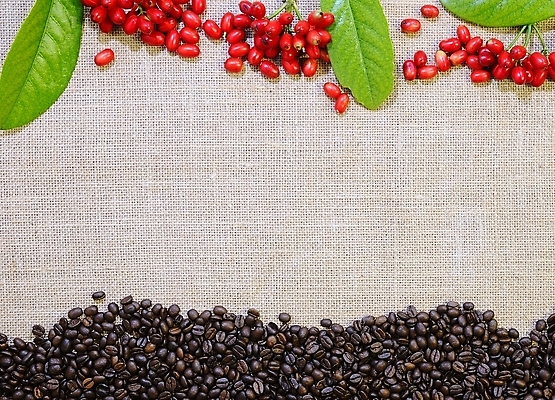 포토 JPG 해외이미지 사람없음 아로마 해외202008 해외포토 파일형식