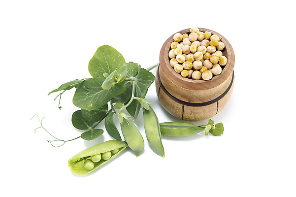 포토 JPG 해외이미지 식물 음식 백그라운드 농업 다이어트 채소 재료 건조 건강 병아리 요리 씨앗 사람없음 목재 갈색 노란색 식사 침묵 흰색 신선 닫기 상품 낟알 묘사 국자 유기농 완두콩 날것 흘림 흙더미 내추럴 고립 단백질 병아리콩 생식 채식주의자 비건 해외202008 해외포토 나무 웰빙 산업 컬러 모션 조류 주방용품 콩 소리 흙 채식 영양소 파일형식 더미