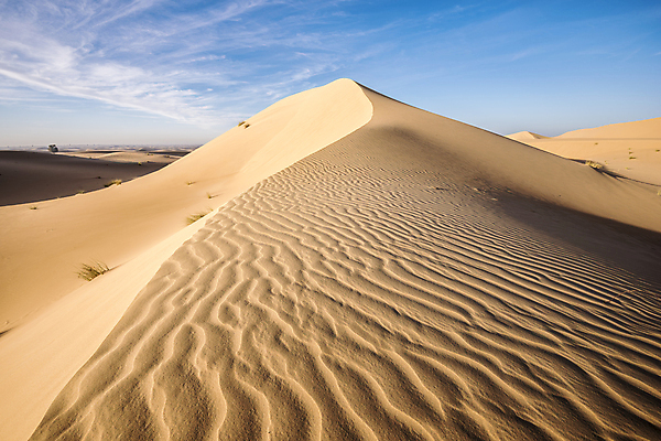 포토 JPG 해외이미지 모래 여행 백그라운드 패턴 오렌지 아프리카 자연 하늘 휴가 건조 풍경 사람없음 야외 관광지 모래사장 침묵 사막 뜨거움 황무지 고독 모래언덕 사파리 언덕 질감 지역 멀리 사하라 내추럴 고립 두바이 아랍어 수평선 해외202008 해외포토 감정 나라 바다 무늬 과일 소리 생태계 아랍에미리트 파일형식