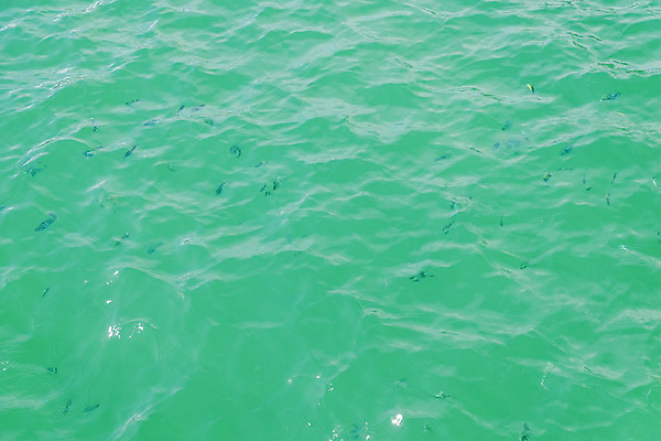 포토 JPG 해외이미지 디자인 모래 파도 바다 여행 백그라운드 패턴 태국 자연 벽지 하늘 표면 추상 휴가 수채화 잉크 미술 풍경 사람없음 초록색 물 여름 파란색 빛 강 컬러풀 햇빛 맑음 액체 떨어짐 그림 질감 에메랄드 터키석 파라다이스 해외202008 해외포토 자연요소 계절 아시아 컬러 컨셉 무늬 날씨 문화예술 태양 보석 생태계 파일형식