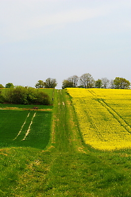 포토 JPG 해외이미지 나무 유럽 도로 길 벽 여행 밭 농업 창문 자국 자연 풍경 사람없음 야외 초록색 농장 노란색 여행객 환경 프랑스 바위 시골 오솔길 장면 지역 내추럴 프랑스어 방법 밭일 선로 그리너리 해외202008 해외포토 식물 문자 나라 산업 컬러 교통시설 사람 돌_바위 생태계 파일형식 트랜드컬러