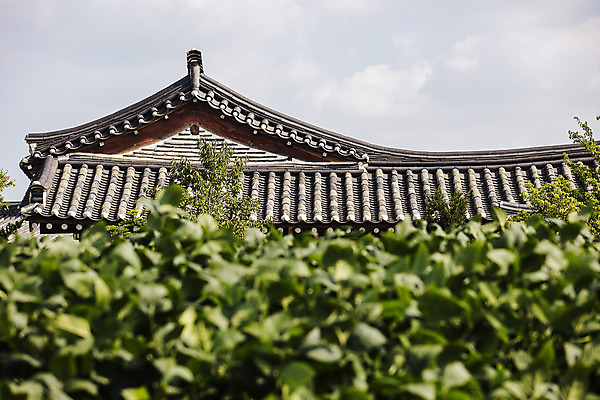 포토 JPG 주간 여행 한옥 풍경 사람없음 야외 관광지 문 경상북도 국내여행 고택 국내포토 영양군 자연요소 한국전통 건축물 고건축 경상도 파일형식