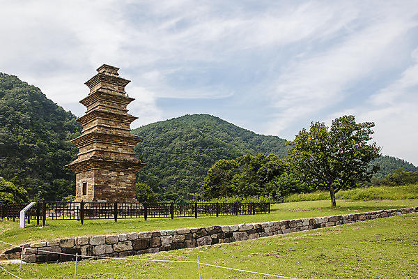 포토 JPG 주간 나무 여행 한국 풍경 사람없음 야외 관광지 탑 경상북도 국보 국내여행 오층석탑 영양산해리오층모전석탑 국내포토 영양군 자연요소 식물 건축물 아시아 문화재 석탑 경상도 파일형식 영양_한국
