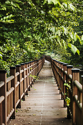 포토 JPG 주간 길 여행 한국 풍경 사람없음 야외 관광지 산책로 경상북도 국내여행 주실마을 국내포토 영양군 자연요소 아시아 마을 경상도 파일형식 영양_한국