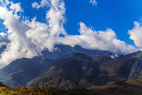 포토 JPG 해외이미지 나무 실루엣 여행 백그라운드 밭 자연 하늘 산 파노라마 풍경 초원 사람없음 야외 초록색 여름 파란색 일출 봄 안개 시골 정상 숲 땅 언덕 산등성이 알프스 장면 내추럴 땅바닥 절정 히말라야 수평선 해외202008 해외포토 식물 계절 유럽 컬러 농업 날씨 바닥 촬영기법 노을 생태계 파일형식 산맥