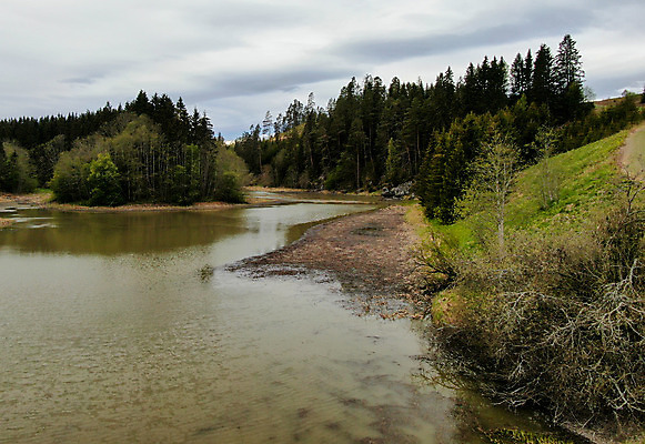 포토 JPG 해외이미지 나무 계절 공원 음식 여행 백그라운드 포크 자연 하늘 산 어류 풍경 사람없음 야외 목재 빨간색 초록색 물 여름 강 골짜기 저녁식사 미국 봄 폭포 흐름 가을 바위 신선 개울 황무지 숲 해산물 암초 북쪽 내추럴 시온산 전국 해외202008 해외포토 자연요소 식물 식기 공공시설 컬러 컨셉 북아메리카 재료 식사 수중동물 돌_바위 방향 생태계 파일형식