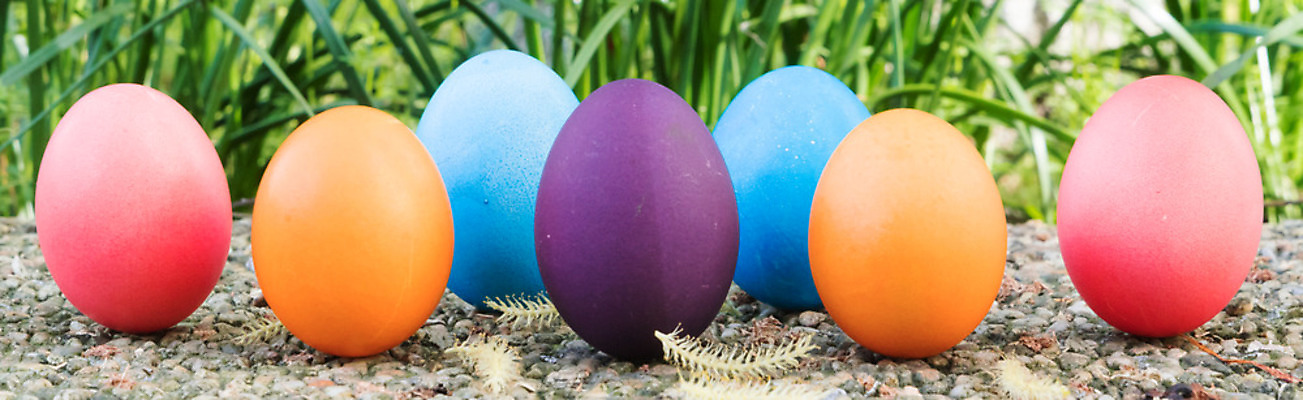 포토 JPG 해외이미지 나무 전통 계절 꽃 행복 어린이 음식 인형 백그라운드 가족 휴가 부활절 서기 이벤트 사람없음 목재 장식 초록색 파란색 컬러풀 노란색 보라색 검은색 축제 페인트 봄 축하 토끼 작음 심볼 유기농 부활절계란 사냥 카피스페이스 해외202008 해외포토 식물 웰빙 기념일 감정 컬러 컨셉 재료 포유류 관계 모션 사람 반려동물 계란 공백 크기 파일형식