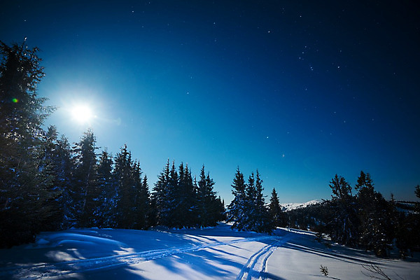 포토 JPG 해외이미지 나무 계절 별 과학 백그라운드 겨울 자연 하늘 스키 불꽃 휴식 산 풍경 사람없음 야외 파란색 빛 우주 일출 환경 어둠 꿈 야간 숲 달빛 언덕 코스모스 서리 은하계 장면 점성술 공상 마법 전나무 별빛 깊이 해외202008 눈덮임 해외포토 자연요소 식물 꽃 컬러 컨셉 불 겨울스포츠 노을 달 생태계 파일형식