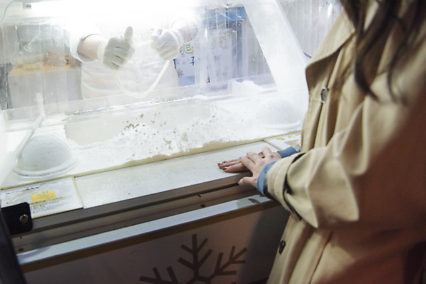 포토 JPG 커플 여자 남자 데이트 거리 상반신 20대 성인 야외 두명 앞모습 옆모습 다정 한국인 가을 야간 인사동 성인만 꿀타래 국내포토 자연요소 계절 뷰포인트 컨셉 관계 서울 사람 동양인 청년 과자 파일형식