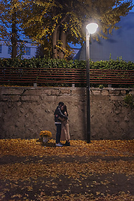 포토 JPG 전신 커플 여자 남자 낙엽 가로등 데이트 포옹 조명 거리 서기 20대 성인 야외 두명 옆모습 빛 다정 한국인 가을 야간 돌담길 성인만 국내포토 자연요소 계절 공공시설 길 뷰포인트 컨셉 잎 관계 안기 모션 돌담 사람 동양인 청년 파일형식