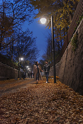 포토 JPG 전신 커플 여자 남자 가로등 데이트 조명 거리 20대 성인 야외 두명 앞모습 빛 걷기 손잡기 다정 한국인 가을 야간 돌담길 성인만 국내포토 자연요소 계절 공공시설 길 뷰포인트 컨셉 관계 모션 돌담 사람 동양인 청년 파일형식