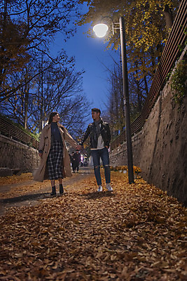 포토 JPG 전신 커플 여자 남자 가로등 데이트 조명 거리 20대 성인 야외 두명 앞모습 빛 걷기 손잡기 다정 한국인 가을 야간 돌담길 성인만 국내포토 자연요소 계절 공공시설 길 뷰포인트 컨셉 관계 모션 돌담 사람 동양인 청년 파일형식