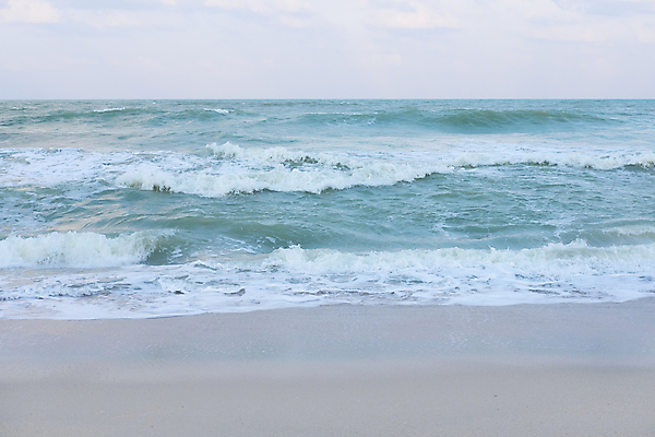 포토 JPG 해외이미지 구름 선 파도 바다 분홍색 백그라운드 자연 하늘 아침 풍경 사람없음 물 여름 파란색 빛 컬러풀 햇빛 장미 반사 평화 일출 황혼 일몰 낭만 부드러움 스카이라인 파스텔톤 수평선 해외202008 해외포토 주간 자연요소 계절 꽃 컬러 컨셉 태양 노을 감각 생태계 파일형식
