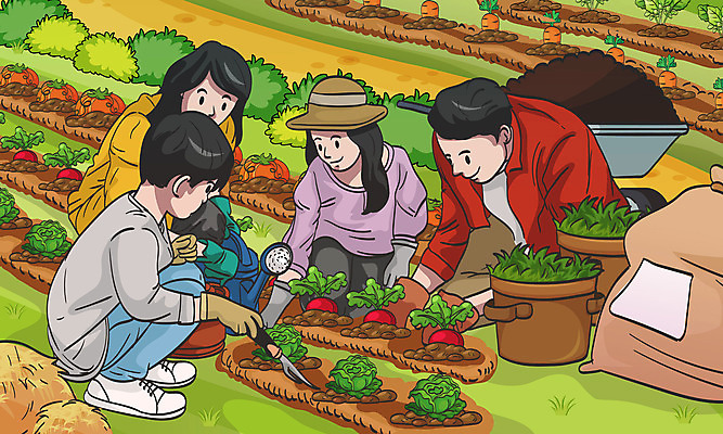전신 모자 여자 남자 딸 행복 아들 어린이 일러스트 가족 호박 엄마 여러명 성인 화목 당근 물뿌리개 체험 아빠 양배추 주말농장 국내일러스트 AI파일 잡화 감정 다수 컨셉 채소 관계 뿌리채소 사람 농장 파일형식 벡터
