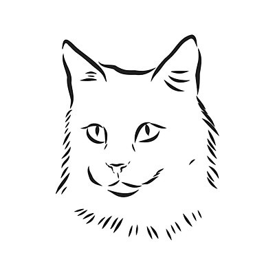 EPS 해외이미지 동물 디자인 응시 얼굴 선 백그라운드 일러스트 포유류 자연 수염 미술 그래픽 반려동물 머리 검은색 고양이 수확 흰색 신용카드 인쇄 만화 스케치 심볼 그림 코 복고 윤곽 귀 솜털 고립 기르기 스타일 해외202008 해외일러스트 시선 컬러 농업 문화예술 신체부위 금융 생태계 돌봄 파일형식 벡터