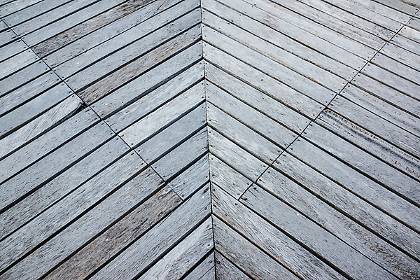 포토 JPG 해외이미지 식물 디자인 선 백그라운드 패턴 자연 표면 사람없음 목재 줄무늬 판넬 거친 널 질감 잡동사니 내추럴 해외202008 해외포토 나무 무늬 재료 생태계 파일형식